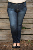 Curvy| Stephanie Skinny - Medium Wash