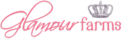 Bootstrap Store logo